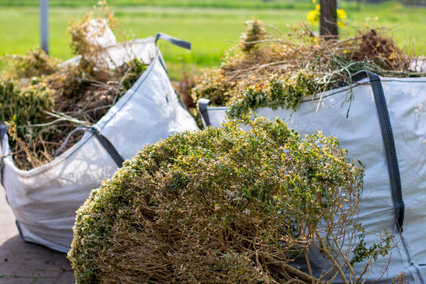 Best Yard Waste Removal  in Andale, KS